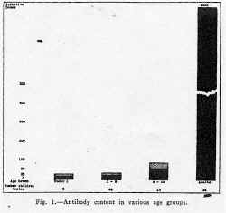 fig1.jpg (76007 bytes)