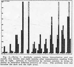 fig2.jpg (87416 bytes)