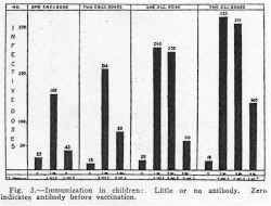 fig3.jpg (64568 bytes)