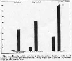 fig4.jpg (239224 bytes)