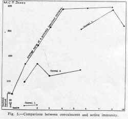 fig5.jpg (144960 bytes)