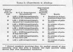 table3.jpg (100376 bytes)